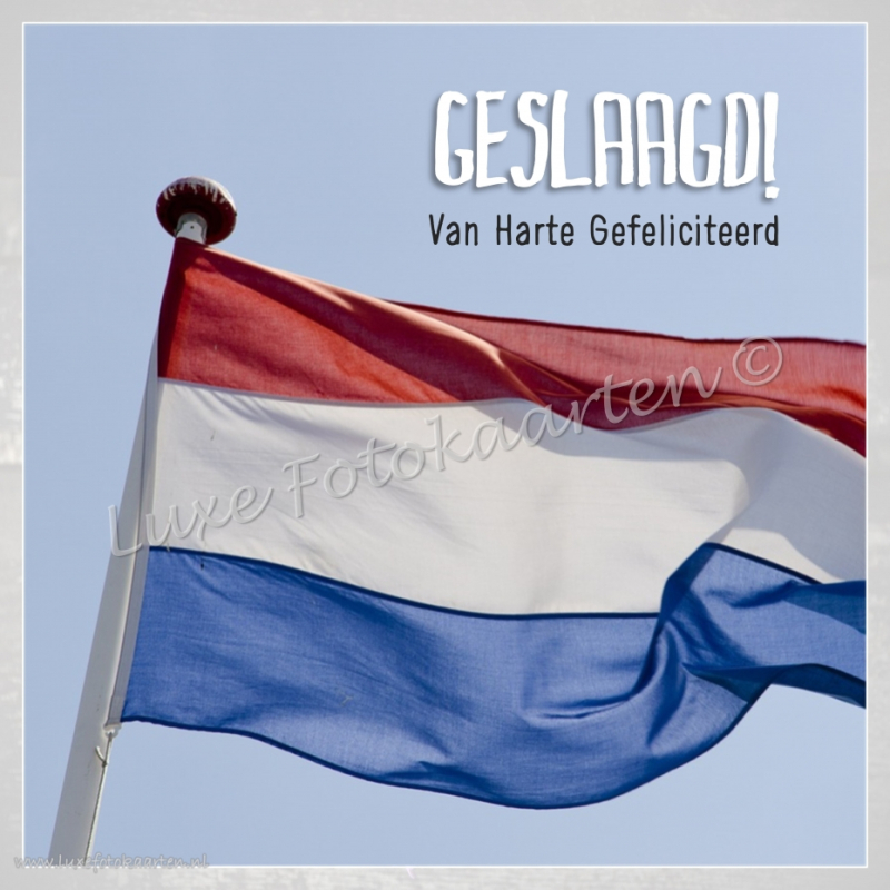 Geslaagd - grote vlag